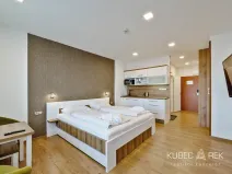 Prodej bytu 1+kk, Frymburk, 30 m2