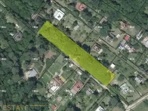 Prodej lesa, Prostějovičky, 1251 m2