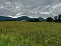 Prodej pozemku pro bydlení, Kozlovice, 4354 m2