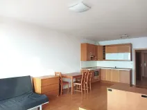 Pronájem bytu 1+kk, Praha - Krč, Panuškova, 44 m2