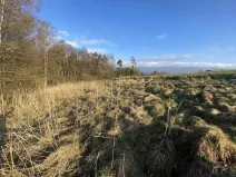 Prodej pole, Okna, 448 m2