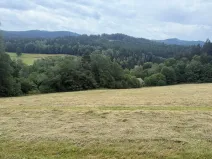 Prodej louky, Hamry, 84928 m2