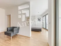 Pronájem bytu 1+kk, Praha - Karlín, Breitfeldova, 38 m2