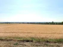 Prodej pole, Olomouc, 29414 m2