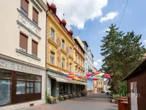 Pronájem činžovního domu, Děčín, Křížová, 80 m2