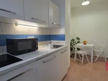 Prodej bytu 1+1, Brno, Cejl, 33 m2