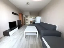 Prodej bytu 1+kk, Ostrava - Zábřeh, Petruškova, 30 m2