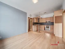 Prodej bytu 2+kk, Hradec Králové - Pražské Předměstí, Horova, 48 m2