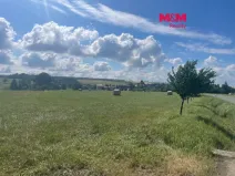 Prodej pozemku pro bydlení, Větřkovice, 4806 m2