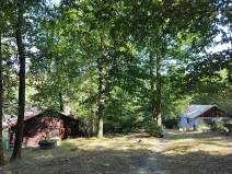 Prodej lesa, Petrov, 23078 m2