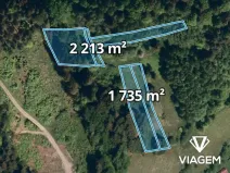 Prodej lesa, Mikulůvka, 3828 m2