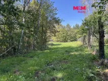 Prodej pozemku pro bydlení, Dubí - Drahůnky, 6184 m2