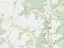 Dražba lesa, Bělá nad Svitavou, 327 m2