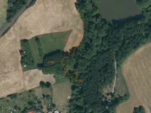 Dražba louky, Tachov, 1549 m2