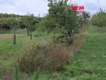 Prodej pole, Vlkoš, 610 m2