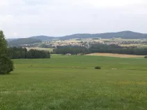 Prodej pozemku, Holubov, 5987 m2