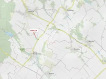 Dražba lesa, Horní Dunajovice, 247 m2