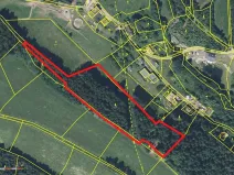 Prodej lesa, Plavy, 9899 m2