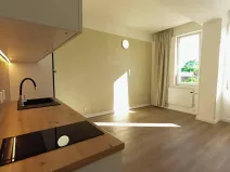 Prodej bytu 1+kk, Znojmo, Cihlářská, 27 m2