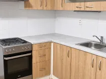 Prodej bytu 1+1, Ústí nad Labem, Nová, 36 m2