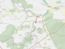 Dražba lesa, Osek, 301 m2