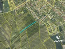 Prodej podílu pole, Hrušky, 293 m2