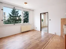 Pronájem bytu 1+1, Písek, třída Přátelství, 38 m2
