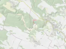 Dražba lesa, Oslavany, 80 m2