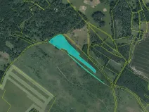 Dražba pozemku, Černošín, 17271 m2
