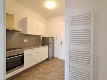 Pronájem bytu 2+1, Praha - Bubeneč, U zeměpisného ústavu, 49 m2