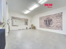 Pronájem obchodního prostoru, Plzeň - Vnitřní Město, Veleslavínova, 95 m2
