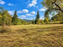 Prodej pozemku pro bydlení, Růžďka, 2296 m2