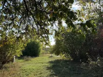 Prodej zahrady, Vojkovice, 910 m2