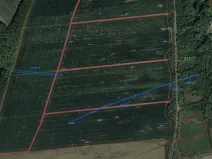 Prodej pozemku, Velká nad Veličkou, 9751 m2