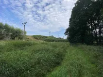 Prodej pole, Tachov, 2776 m2