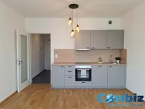 Pronájem bytu 1+kk, Praha - Karlín, Švarcova, 31 m2