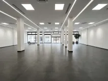Pronájem obchodního prostoru, Ústí nad Labem, Masarykova, 423 m2