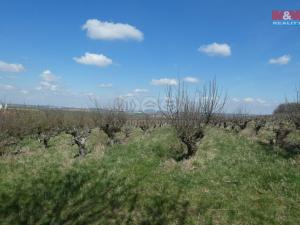 Prodej zemědělské půdy, Kutná Hora - Kaňk, 6390 m2