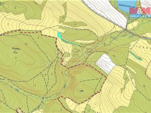 Prodej trvalého travního porostu, Mašťov - Dobřenec, 4385 m2