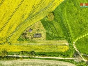 Prodej zemědělské půdy, Ostrov u Bezdružic - Pláň, 6672 m2