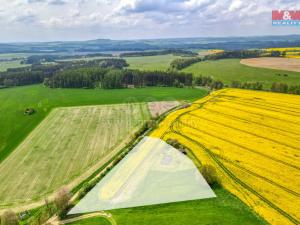 Prodej zemědělské půdy, Ostrov u Bezdružic - Pláň, 6672 m2