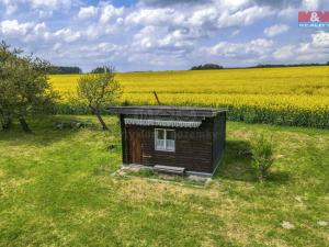 Prodej zemědělské půdy, Ostrov u Bezdružic - Pláň, 6672 m2