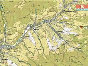 Prodej trvalého travního porostu, Nedašov, 1151 m2