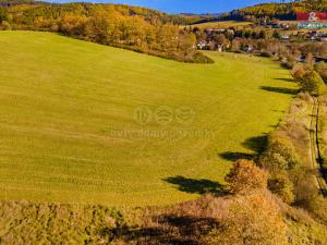 Prodej trvalého travního porostu, Kolinec, 6484 m2