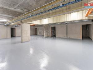 Prodej bytu 4+kk, Praha, Sestupná, 130 m2