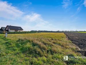 Prodej pozemku pro bydlení, Staré Hradiště, 1310 m2