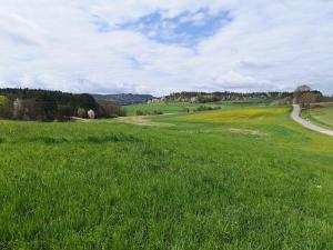 Prodej pozemku pro komerční výstavbu, Radomyšl, 10000 m2