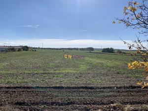 Prodej zemědělské půdy, Červený Újezd, Unhošťská, 22522 m2