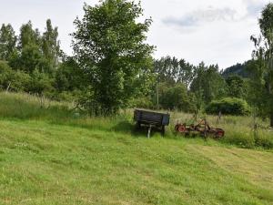 Prodej trvalého travního porostu, Kraslice, Novoveská, 4227 m2