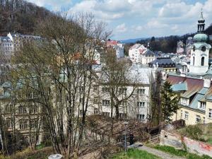 Prodej pozemku pro komerční výstavbu, Karlovy Vary, Hálkův vrch, 1340 m2